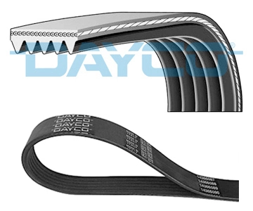 V-ribbed Belt