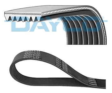 V-ribbed Belt