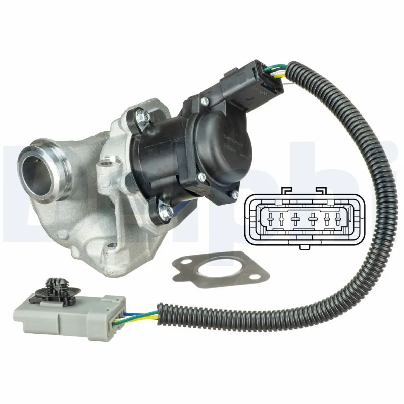 EGR Valve