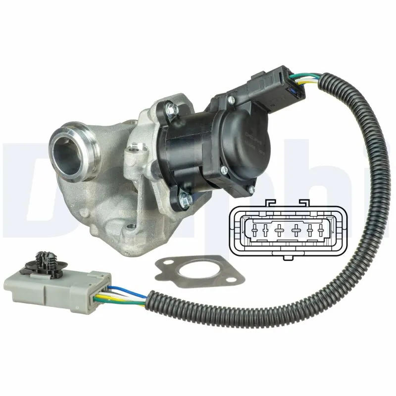 EGR Valve