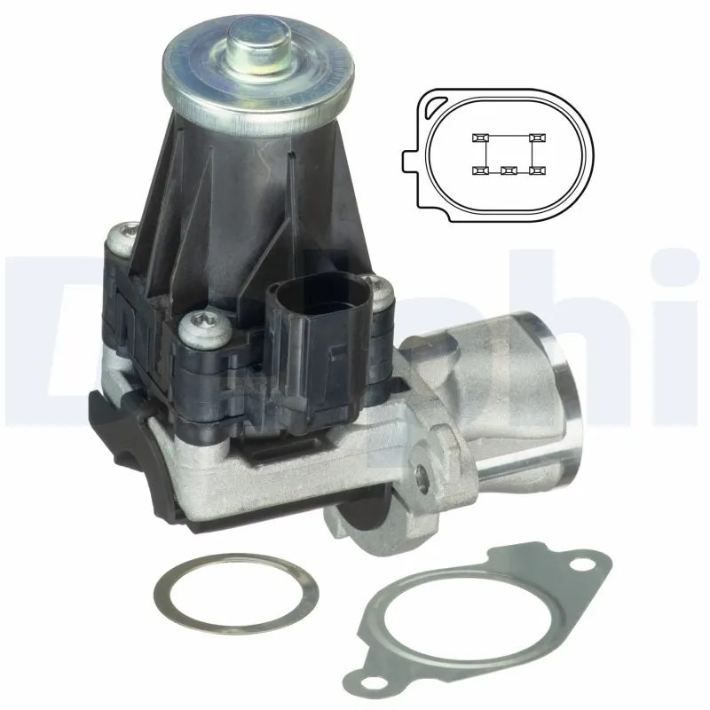 EGR Valve
