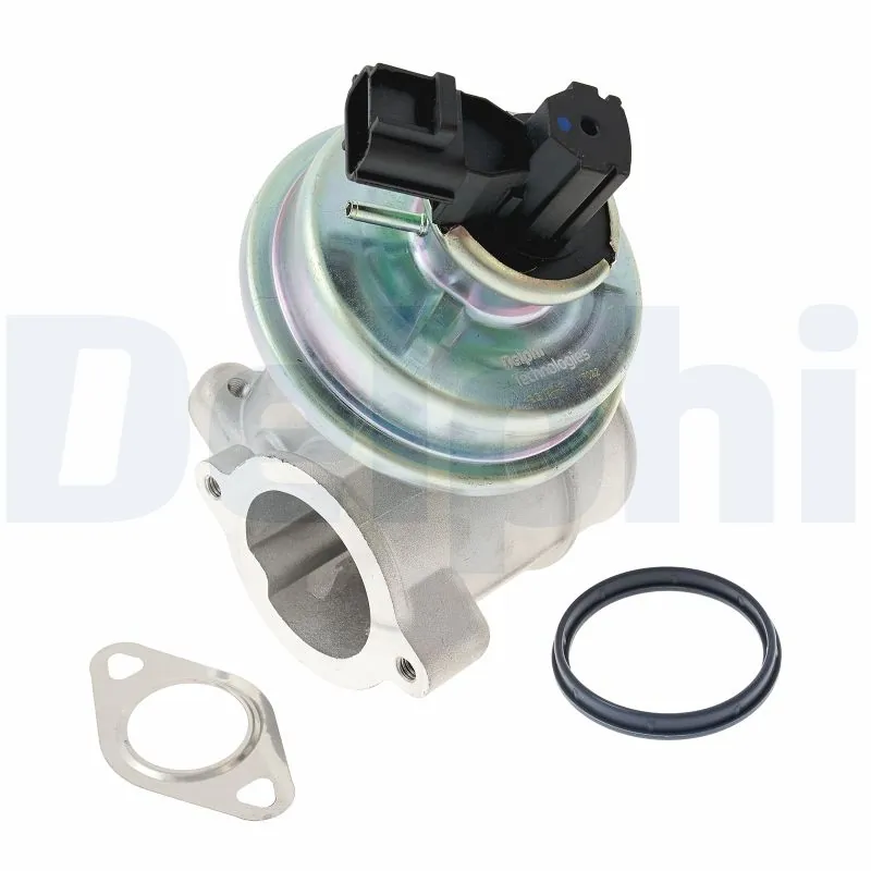 EGR Valve