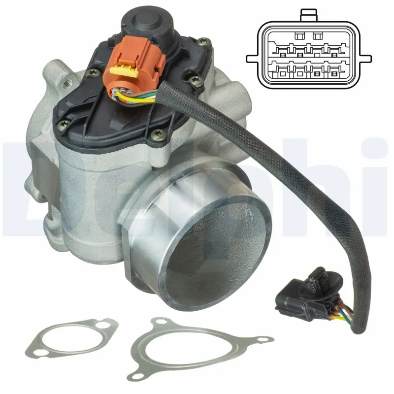 EGR Valve