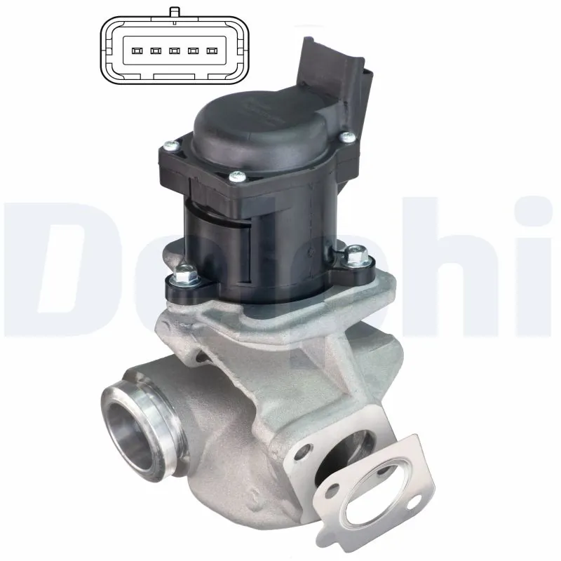 EGR Valve
