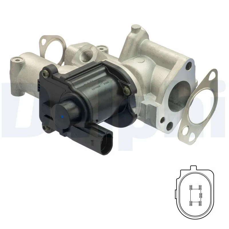 EGR Valve