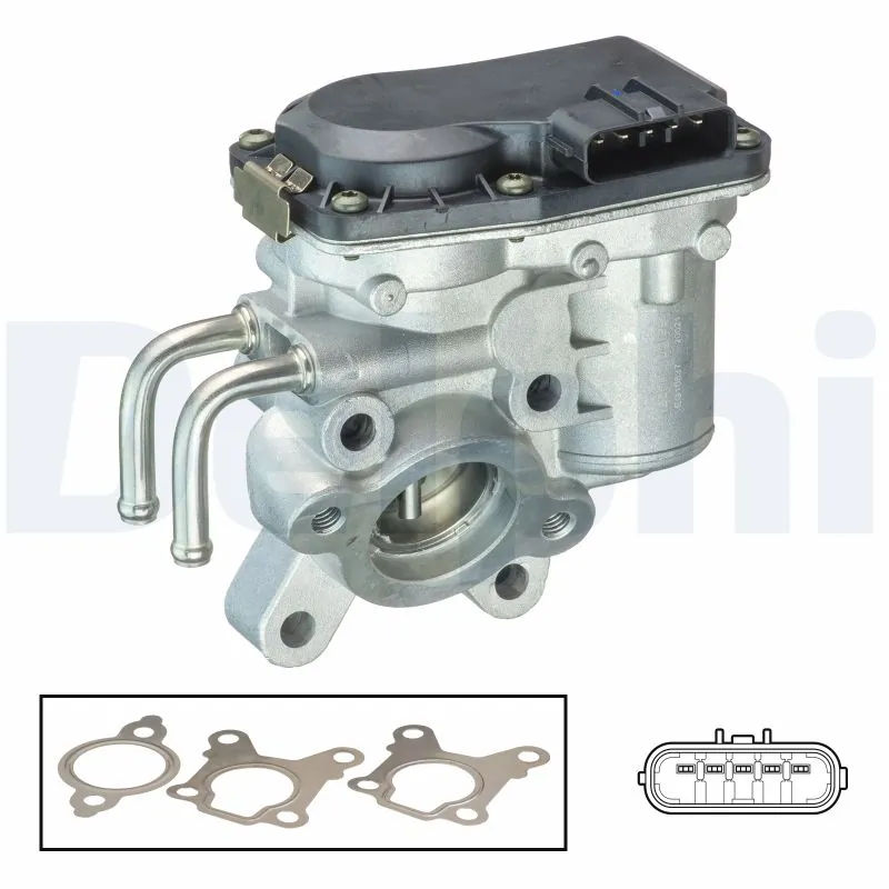 EGR Valve