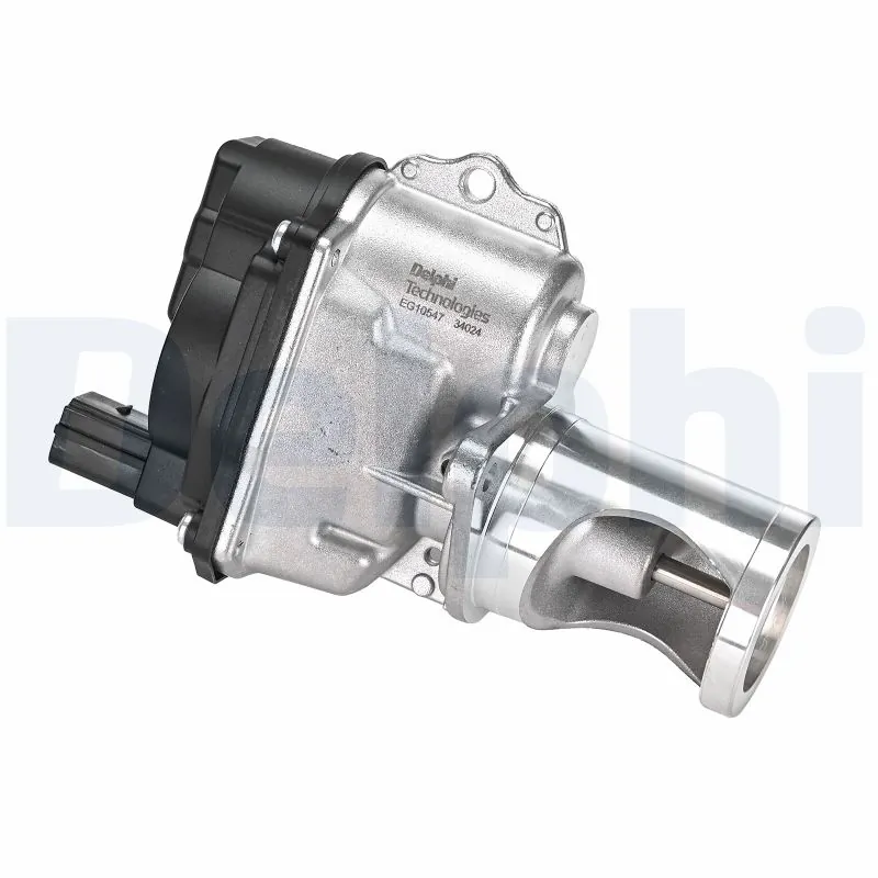 EGR Valve