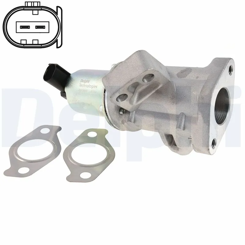 EGR Valve