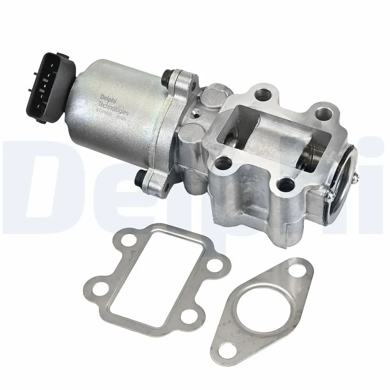 EGR Valve