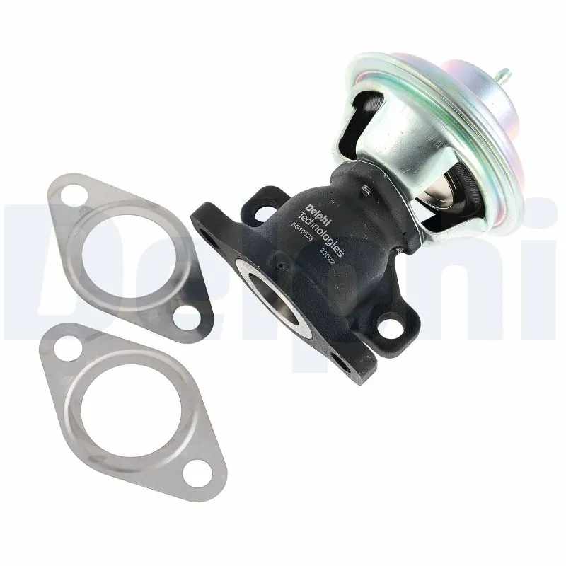 EGR Valve