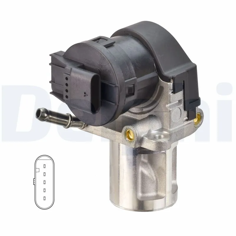 EGR Valve