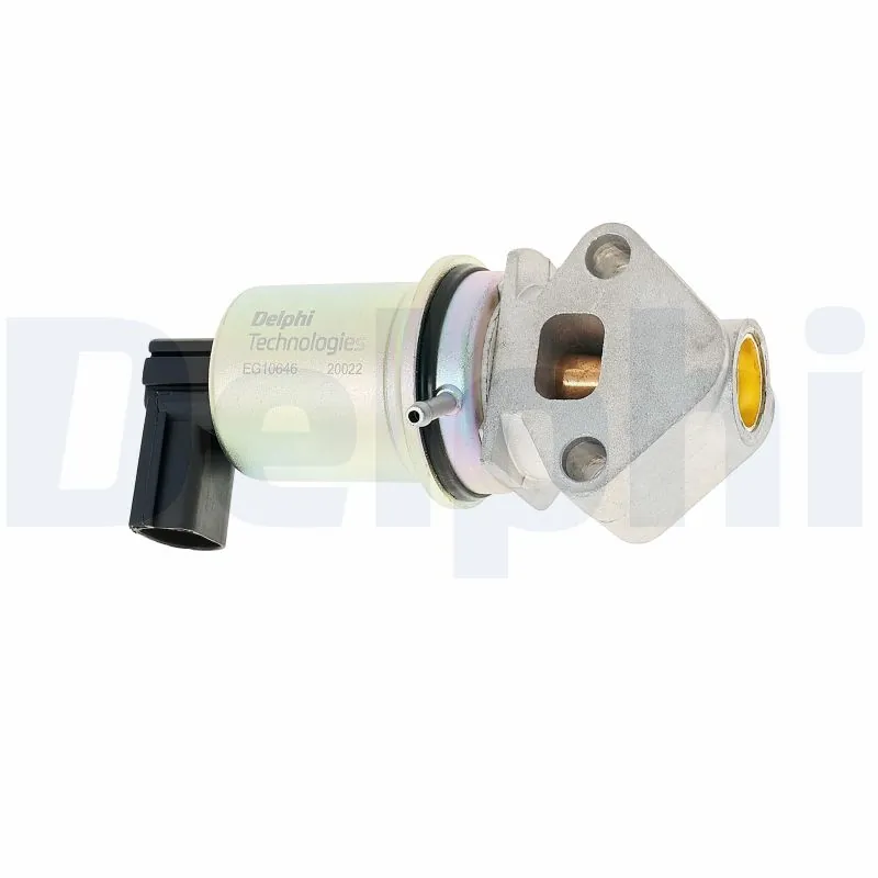 EGR Valve