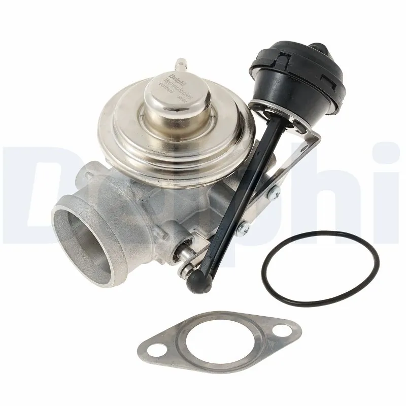 EGR Valve