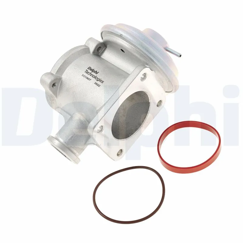 EGR Valve