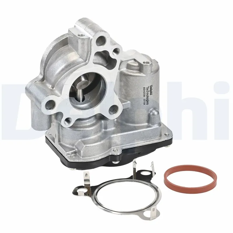 EGR Valve