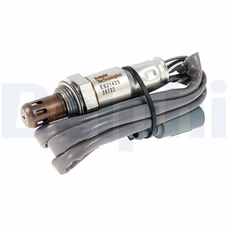 Oxygen Sensor