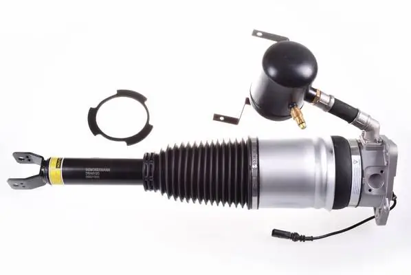 Air Suspension Strut