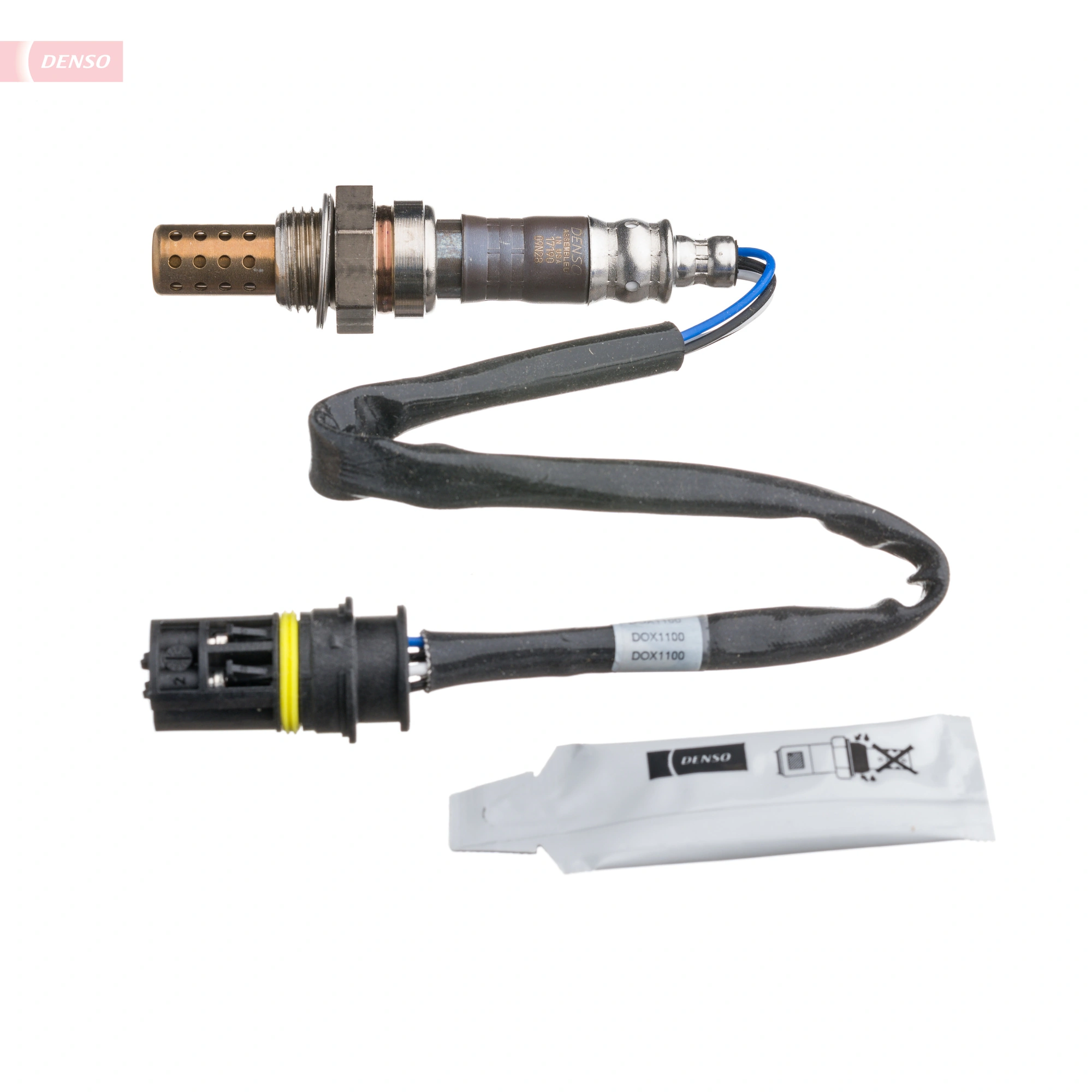 Oxygen Sensor