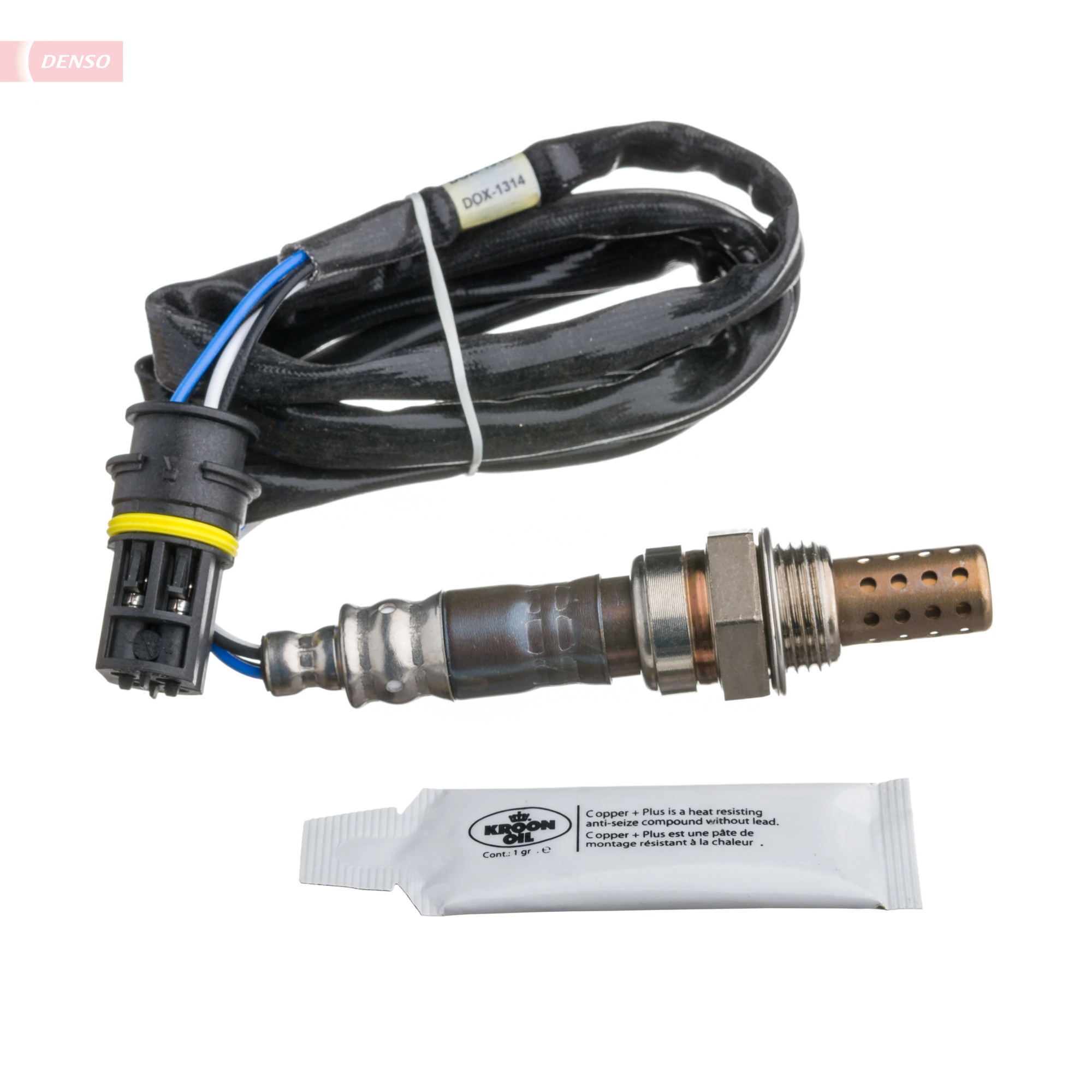 Oxygen Sensor