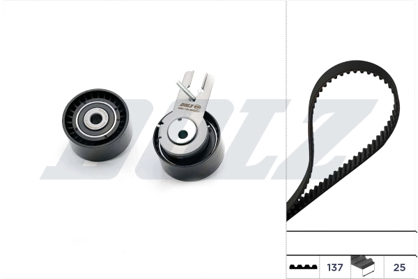 Timing Belt Kit