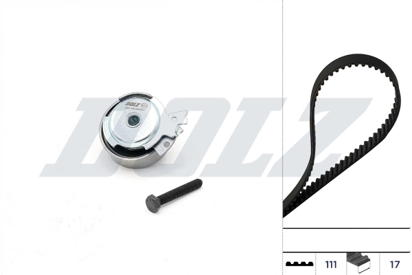 Timing Belt Kit
