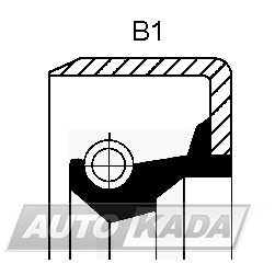 Oil seal 50x64x10/13