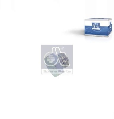 Screw Plug, crankcase