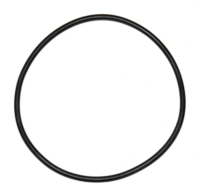 Seal Ring