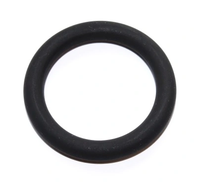 Seal Ring