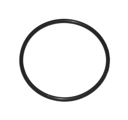 Seal Ring