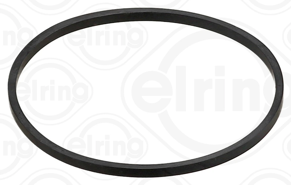 Gasket, timing case cover