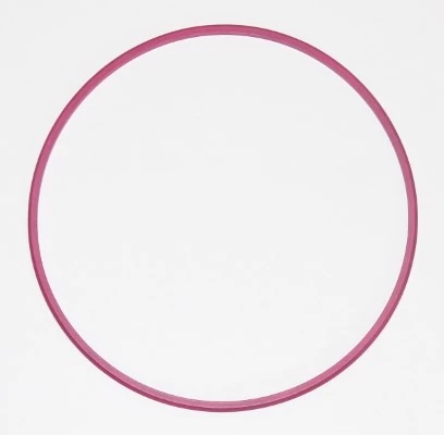 Seal Ring