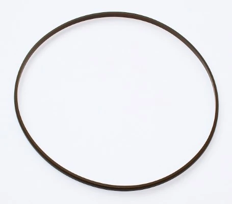 Seal Ring