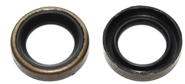 Seal Ring