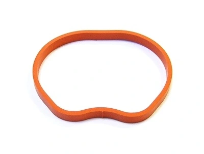 Gasket, intake manifold