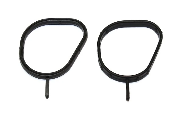 Gasket, thermostat housing