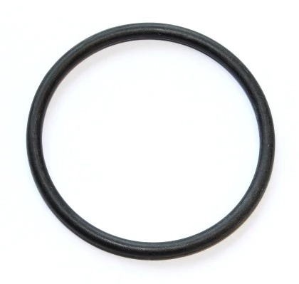 Seal Ring