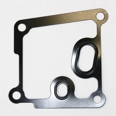 Gasket, oil filter housing
