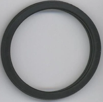 Seal Ring