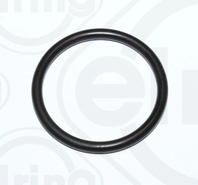 Gasket, coolant flange