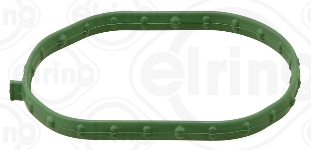 Gasket, intake manifold