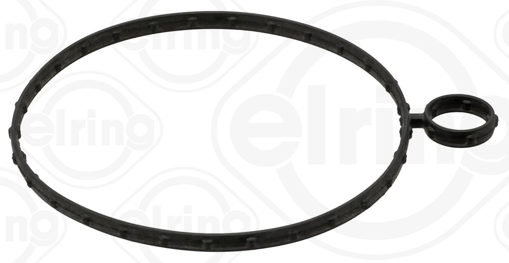 Gasket, vacuum pump