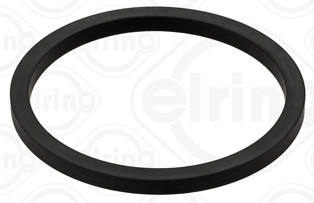 Gasket, timing case cover