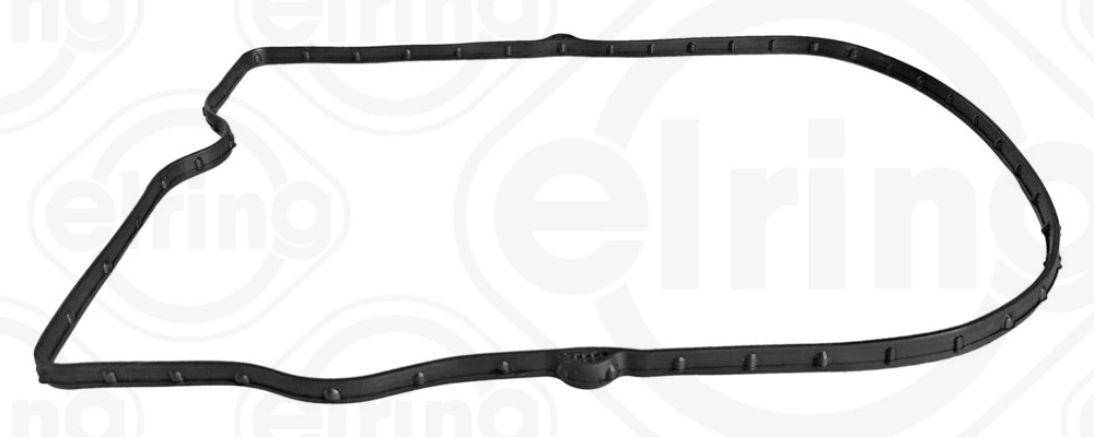 Gasket, timing case cover