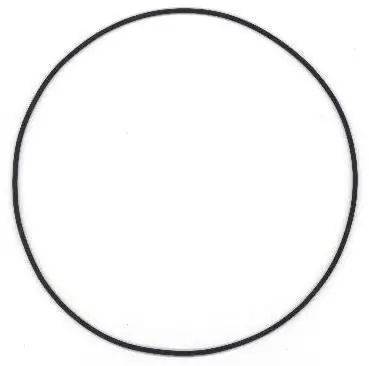 Seal Ring