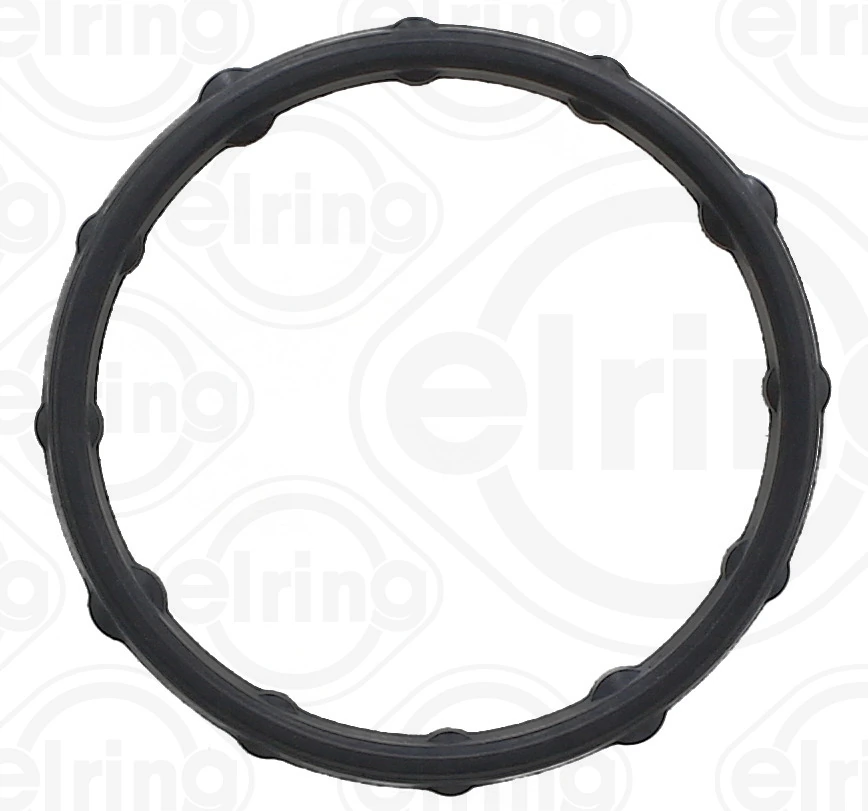 Gasket, oil cooler