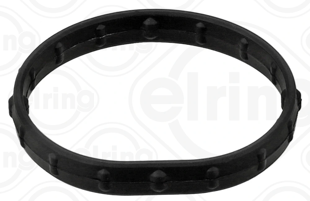 Gasket, coolant flange