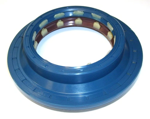 Shaft Seal, differential