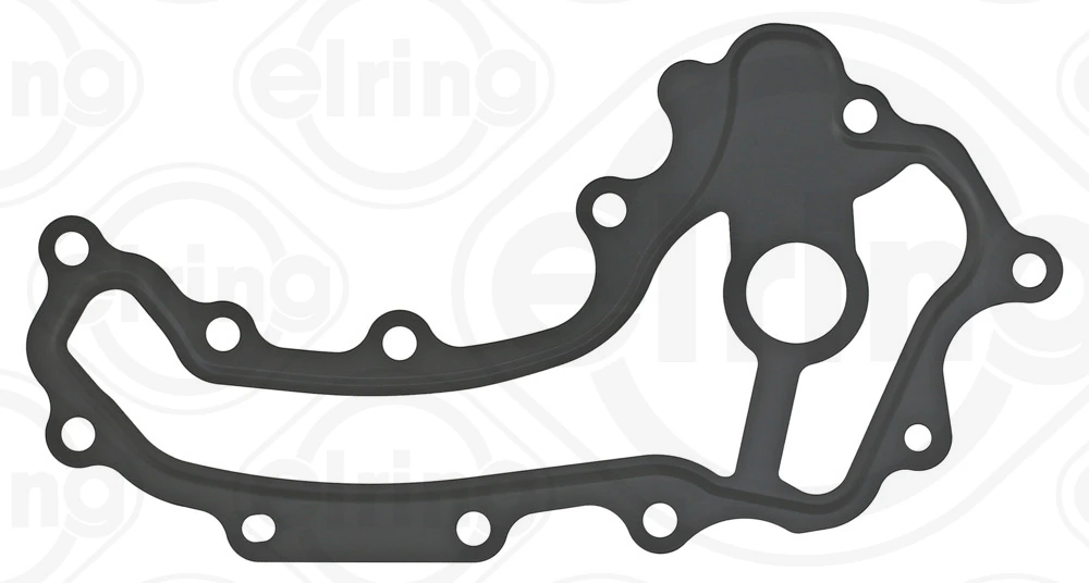 Gasket, coolant flange