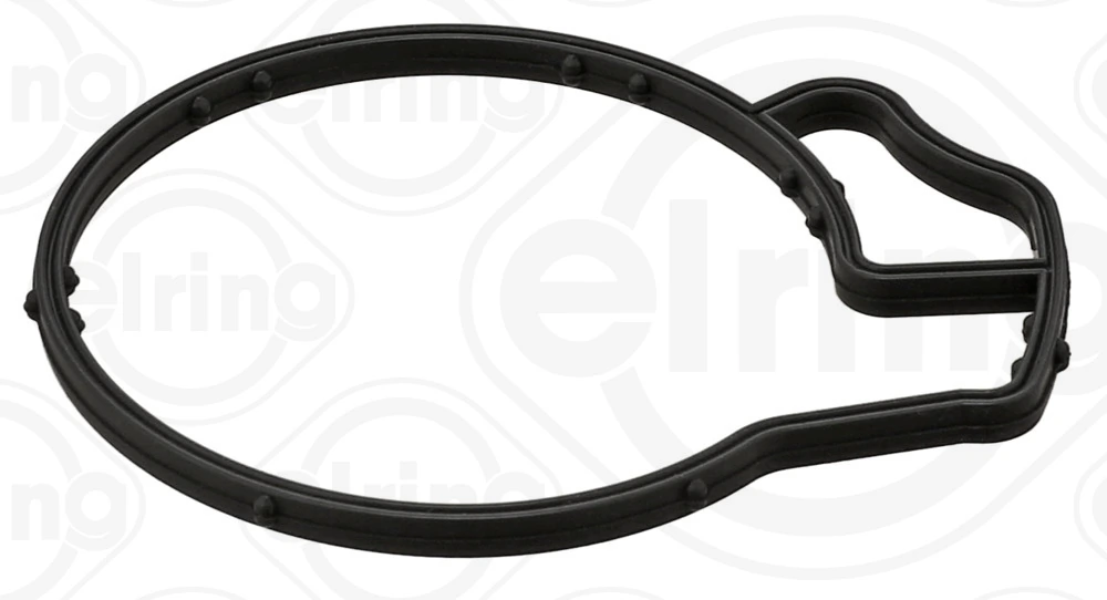 Gasket, vacuum pump